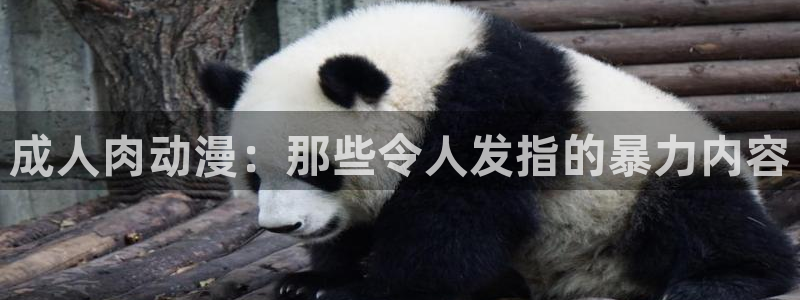 抖漫免费版下载